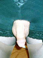 picture from pantieboyz.com