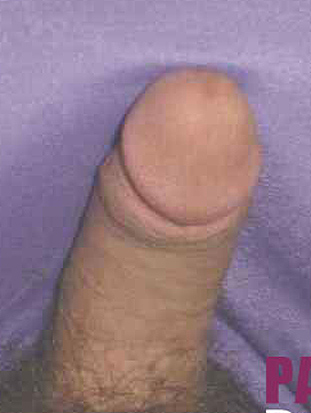 picture from pantieboyz.com