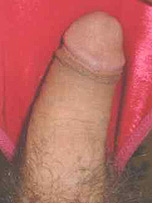 picture from pantieboyz.com