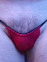 picture from pantieboyz.com