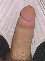 picture from pantieboyz.com