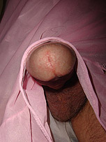 picture from pantieboyz.com