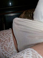 picture from pantieboyz.com